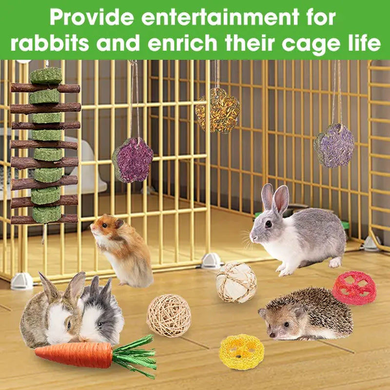 21-Piece Dental Chew Toy Set for Small Animals – Apple Wood Sticks and Timothy Hay Cakes for Optimal Dental Care – Suitable for Rabbits, Hamsters, Chinchillas, and Gerbils