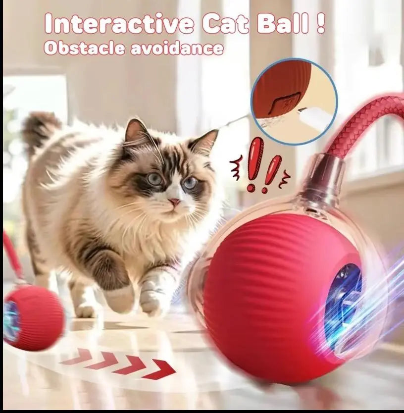 Interactive Cat and Dog Toy Ball with Bird Chirping Sound - USB Rechargeable, Anti-Depression Gift, Smart Motion Sensor, Chew-Resistant Design, Ultra-Quiet Operation, Long-Lasting Battery, Multi-Surface Compatibility