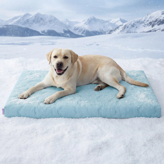 Lesure Orthopedic Dog Cooling Mat - Q-Max > 0.5 with Washable Cover and Non-Slip Egg Crate Foam for Extra Large Dogs