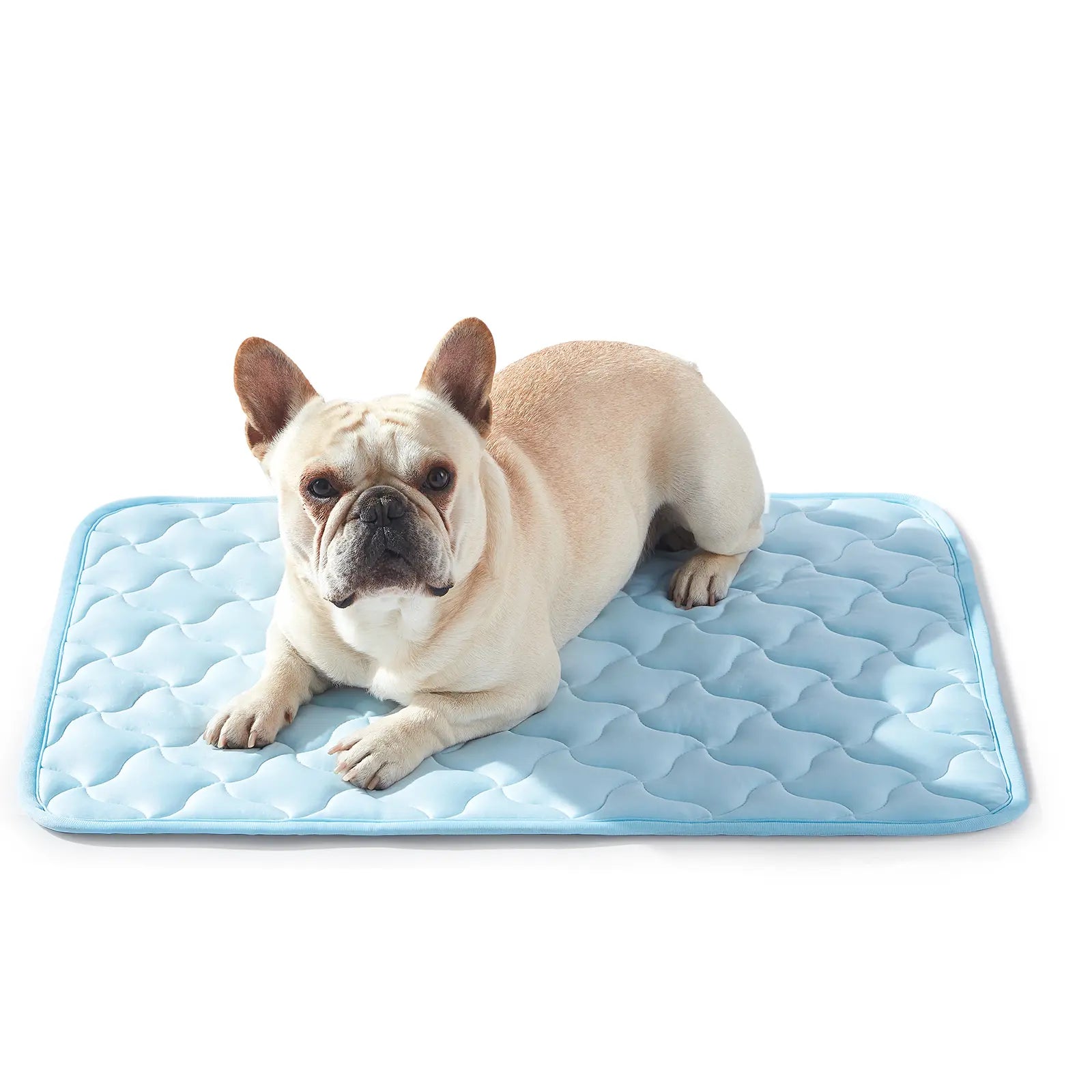 MIXJOY Premium Cooling Mat for Dogs of All Sizes - Q-Max > 0.5 Instant Temperature Reduction, Machine Washable, Snag Resistant, Anti-Slip Design for Indoor and Outdoor Use - Blue