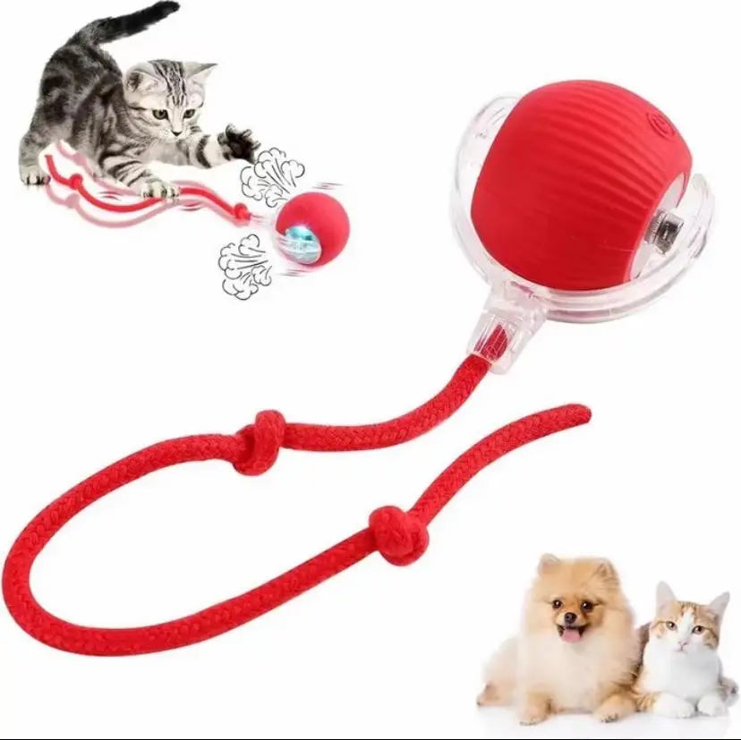 Interactive Cat and Dog Toy Ball with Bird Chirping Sound - USB Rechargeable, Anti-Depression Gift, Smart Motion Sensor, Chew-Resistant Design, Ultra-Quiet Operation, Long-Lasting Battery, Multi-Surface Compatibility