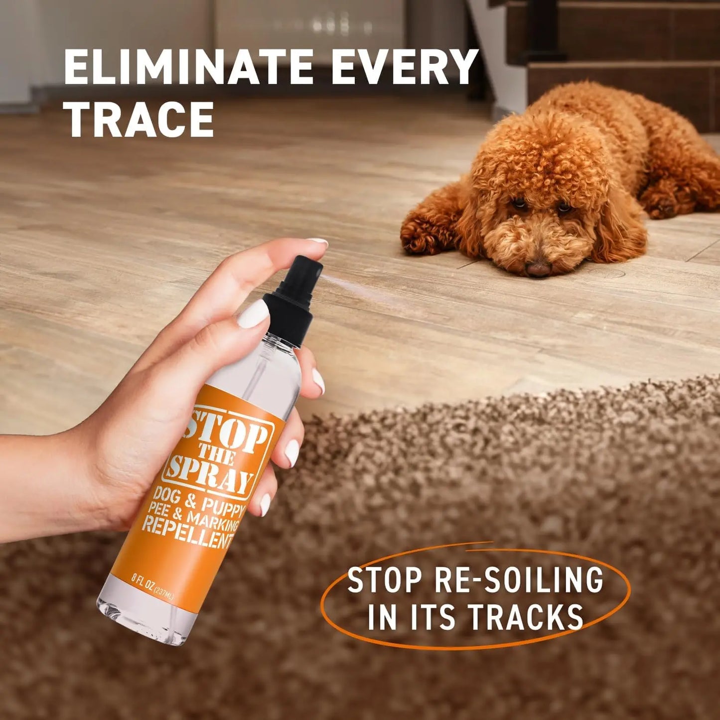 EBPP Stop the Spray - Dog and Puppy Urine Marking Repellent - Pet Training Solution for Indoor Potty Training