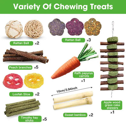 21-Piece Dental Chew Toy Set for Small Animals – Apple Wood Sticks and Timothy Hay Cakes for Optimal Dental Care – Suitable for Rabbits, Hamsters, Chinchillas, and Gerbils