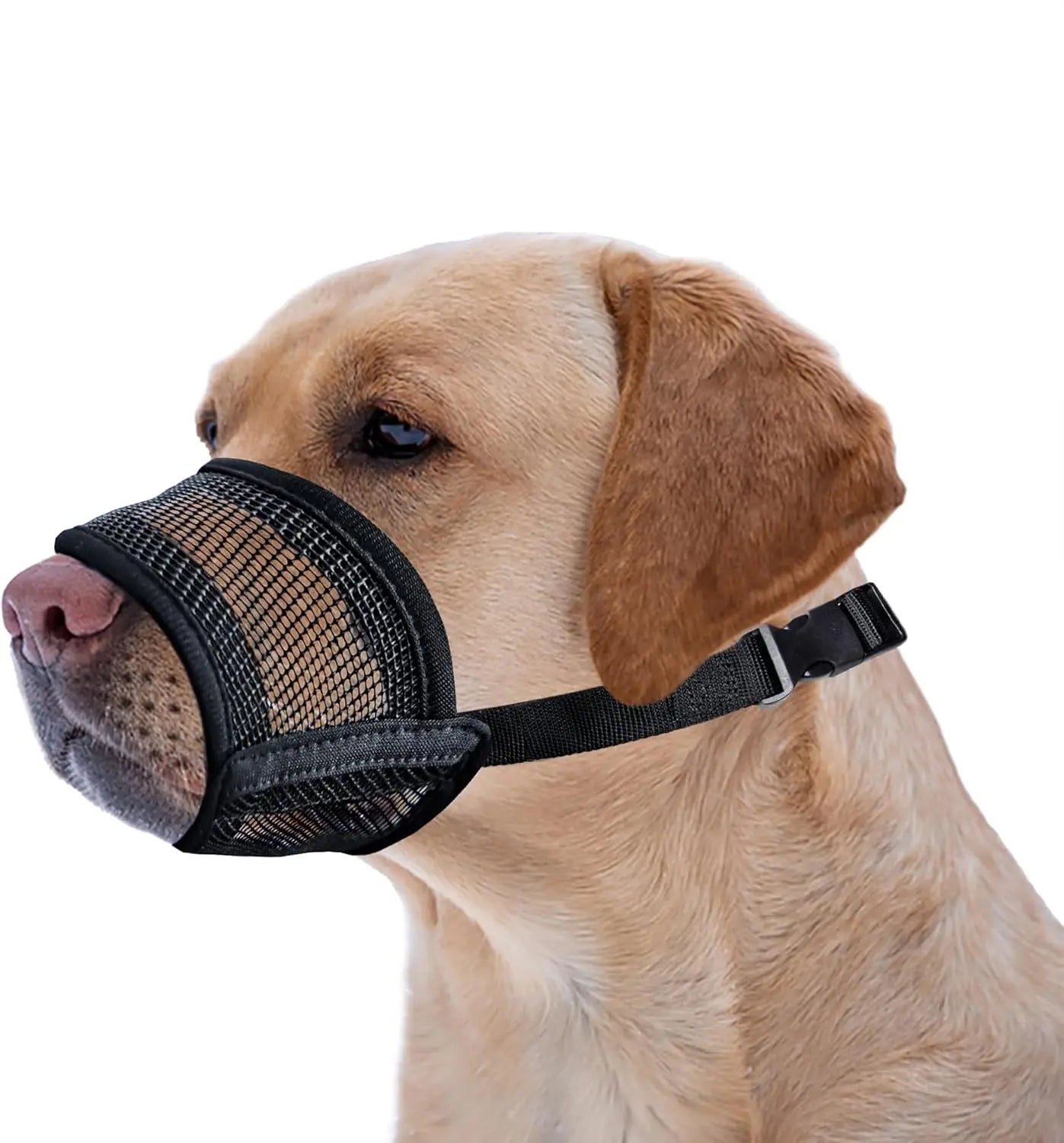 Adjustable Air Mesh Dog Muzzle for Various Breeds | Prevents Barking, Scavenging, Licking, and Chewing | Ideal for Biting Prevention
