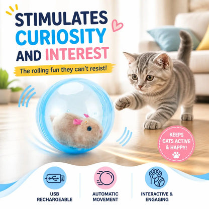 Smart Cat Toy: USB Rechargeable Auto-Rolling Ball for Hands-Free Indoor Play