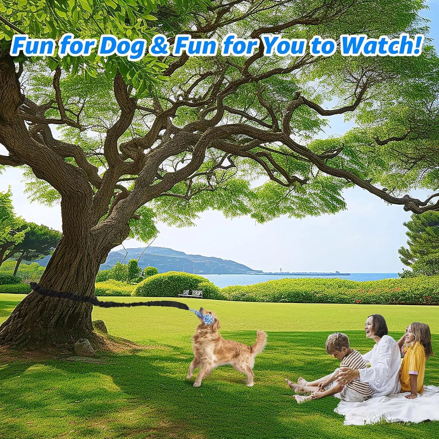 Spring Pole Rope Tug Toys for Medium to Large Dogs - Interactive Bungee Exercise Ropes for Indoor and Outdoor Use (Door Style)