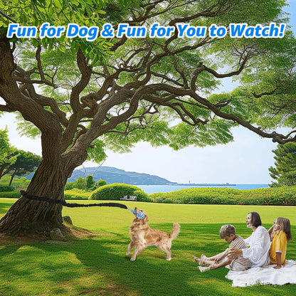 Spring Pole Rope Tug Toys for Medium to Large Dogs - Interactive Bungee Exercise Ropes for Indoor and Outdoor Use (Door Style)