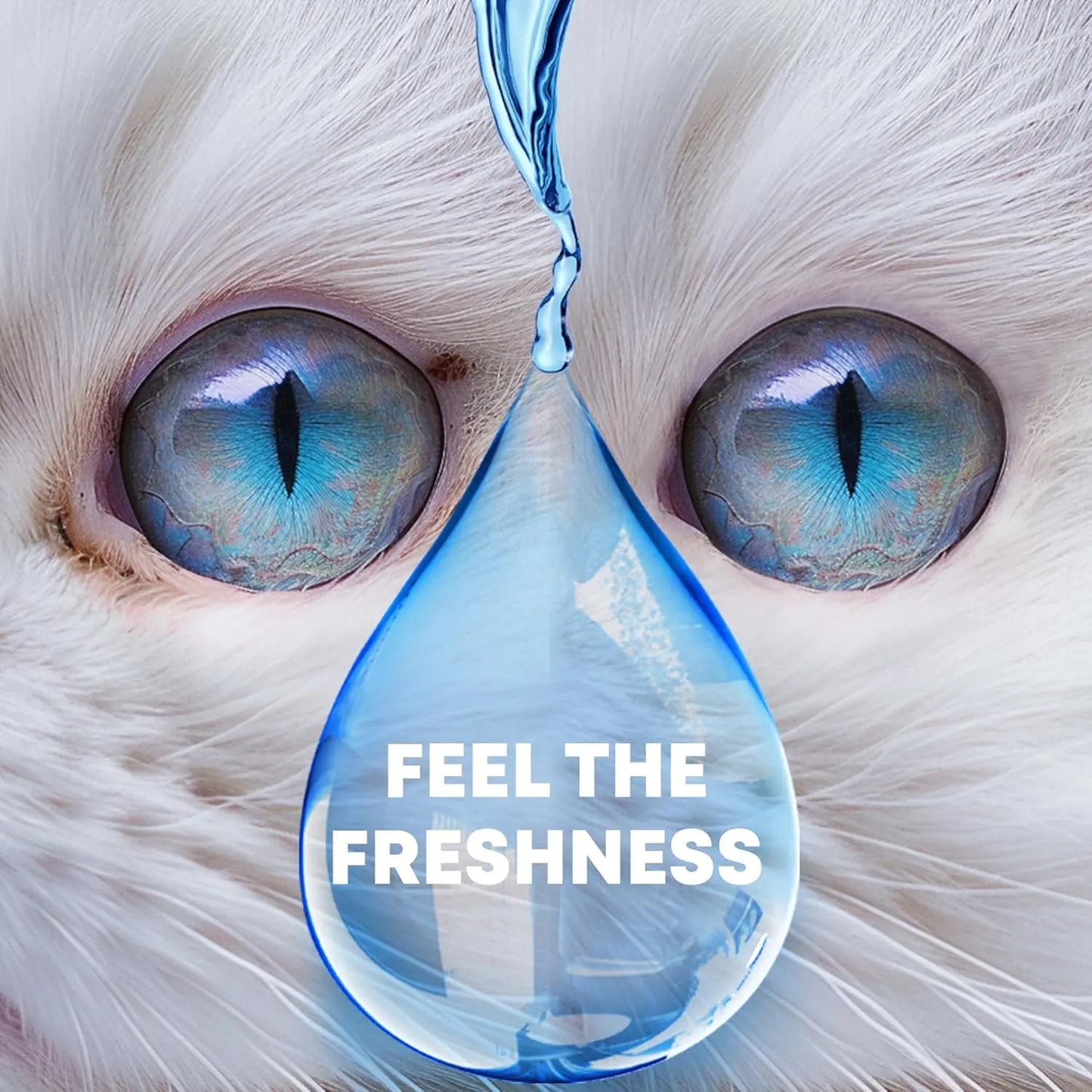 Urbanpluse Natural Pet Eye Drops for Dogs and Cats - 10ML Tear Stain Remover for Itchy, Dry, and Pink Eyes