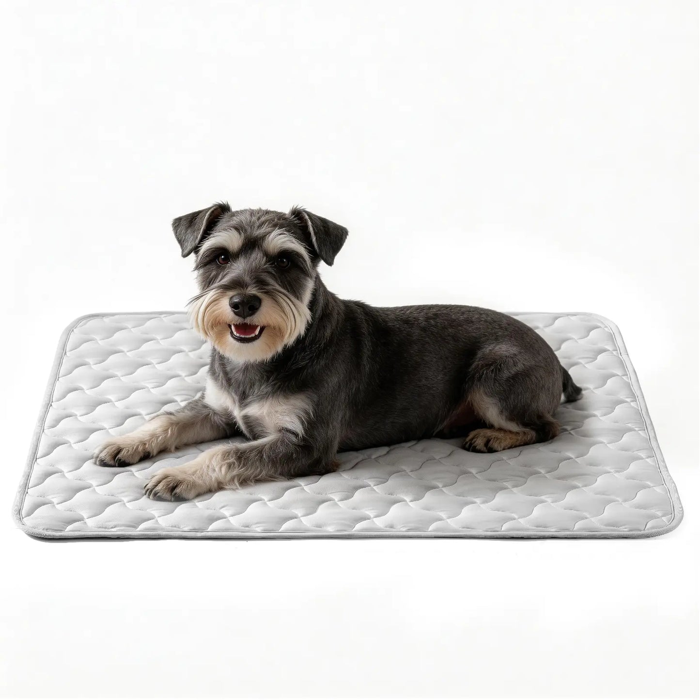 MIXJOY Premium Cooling Mat for Dogs of All Sizes - Q-Max > 0.5 Instant Temperature Reduction, Machine Washable, Snag Resistant, Anti-Slip Design for Indoor and Outdoor Use - Blue
