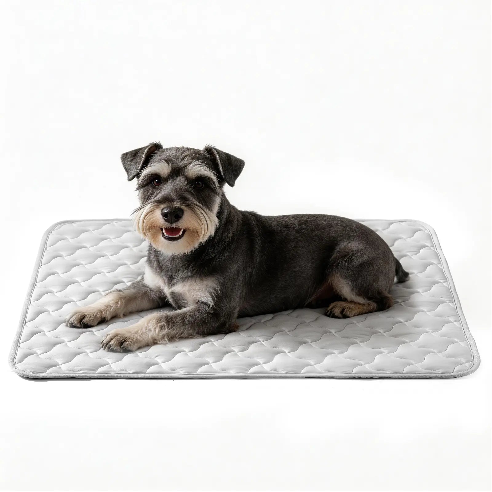 MIXJOY Premium Cooling Mat for Dogs of All Sizes - Q-Max > 0.5 Instant Temperature Reduction, Machine Washable, Snag Resistant, Anti-Slip Design for Indoor and Outdoor Use - Blue