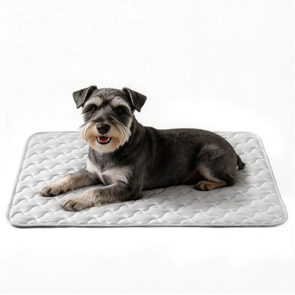 MIXJOY Premium Cooling Mat for Dogs of All Sizes - Q-Max > 0.5 Instant Temperature Reduction, Machine Washable, Snag Resistant, Anti-Slip Design for Indoor and Outdoor Use - Blue