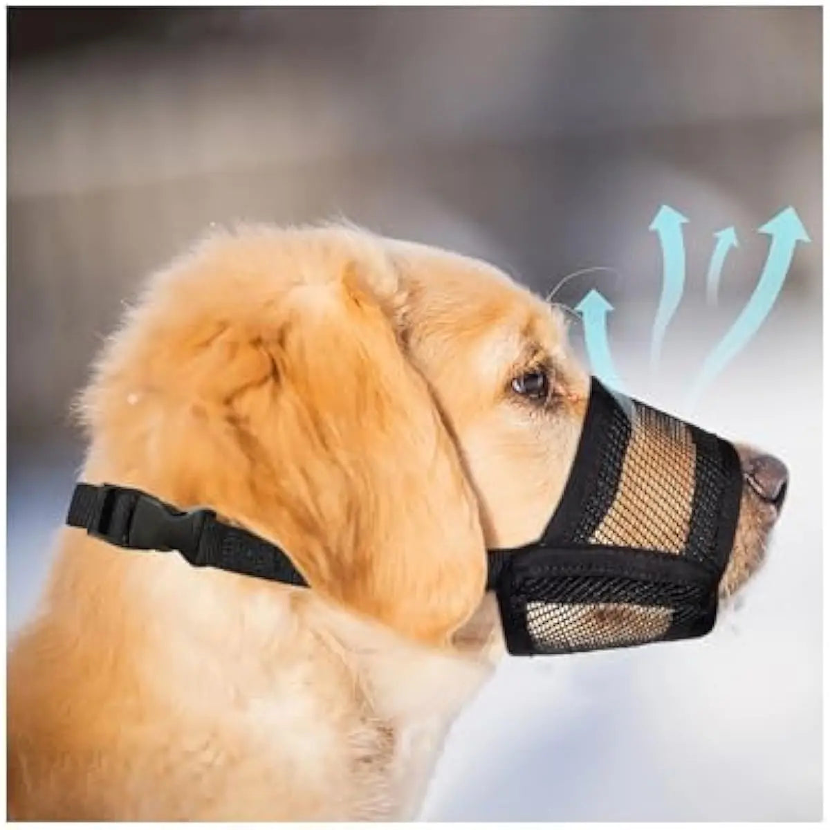 Adjustable Air Mesh Dog Muzzle for Various Breeds | Prevents Barking, Scavenging, Licking, and Chewing | Ideal for Biting Prevention