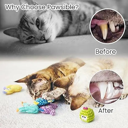 Pawsible 5-Pack Colorful Cactus Cat Toy Set with 100% Premium Catnip Filling - Natural Stimulation and Soft Teething Toys for Kittens