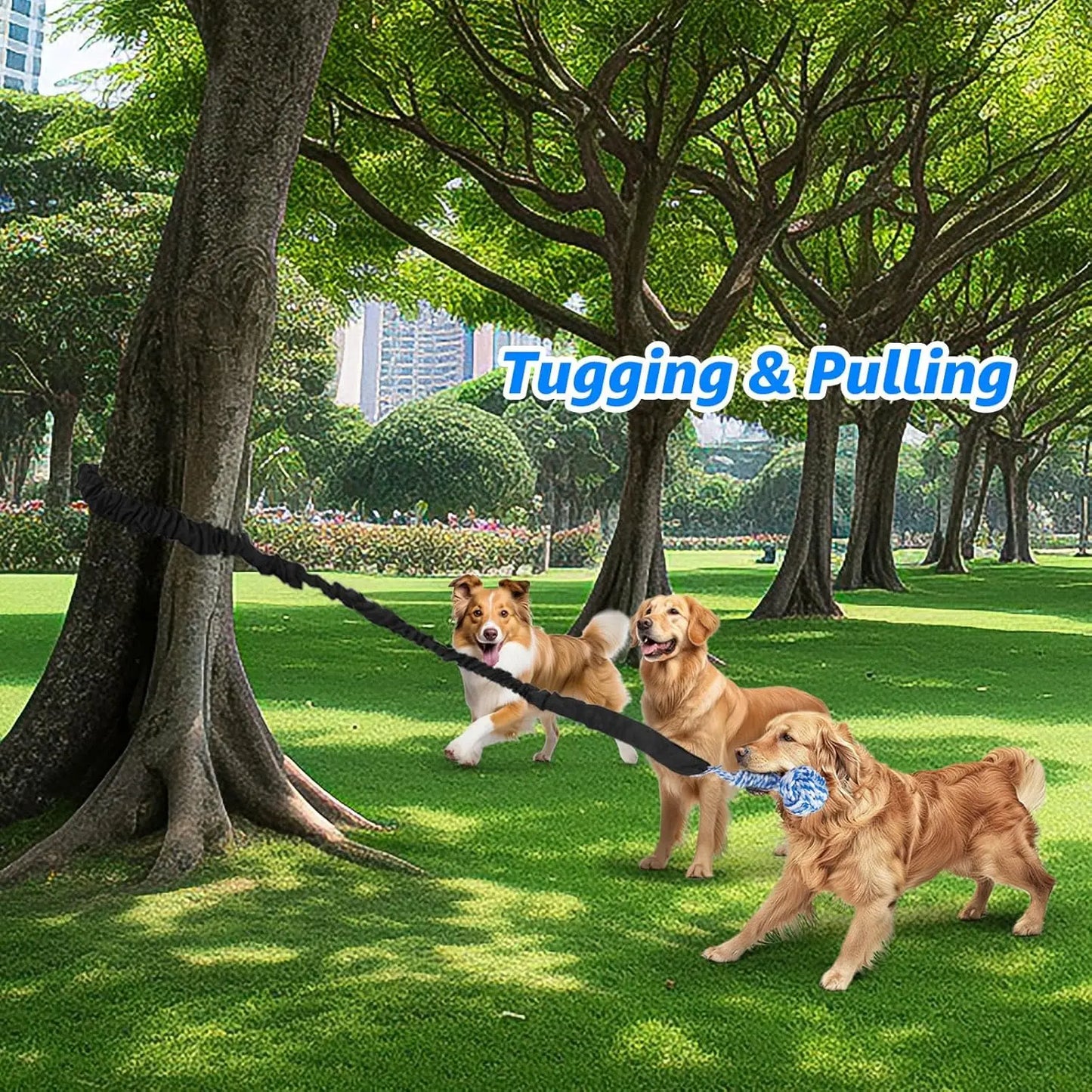 Spring Pole Rope Tug Toys for Medium to Large Dogs - Interactive Bungee Exercise Ropes for Indoor and Outdoor Use (Door Style)