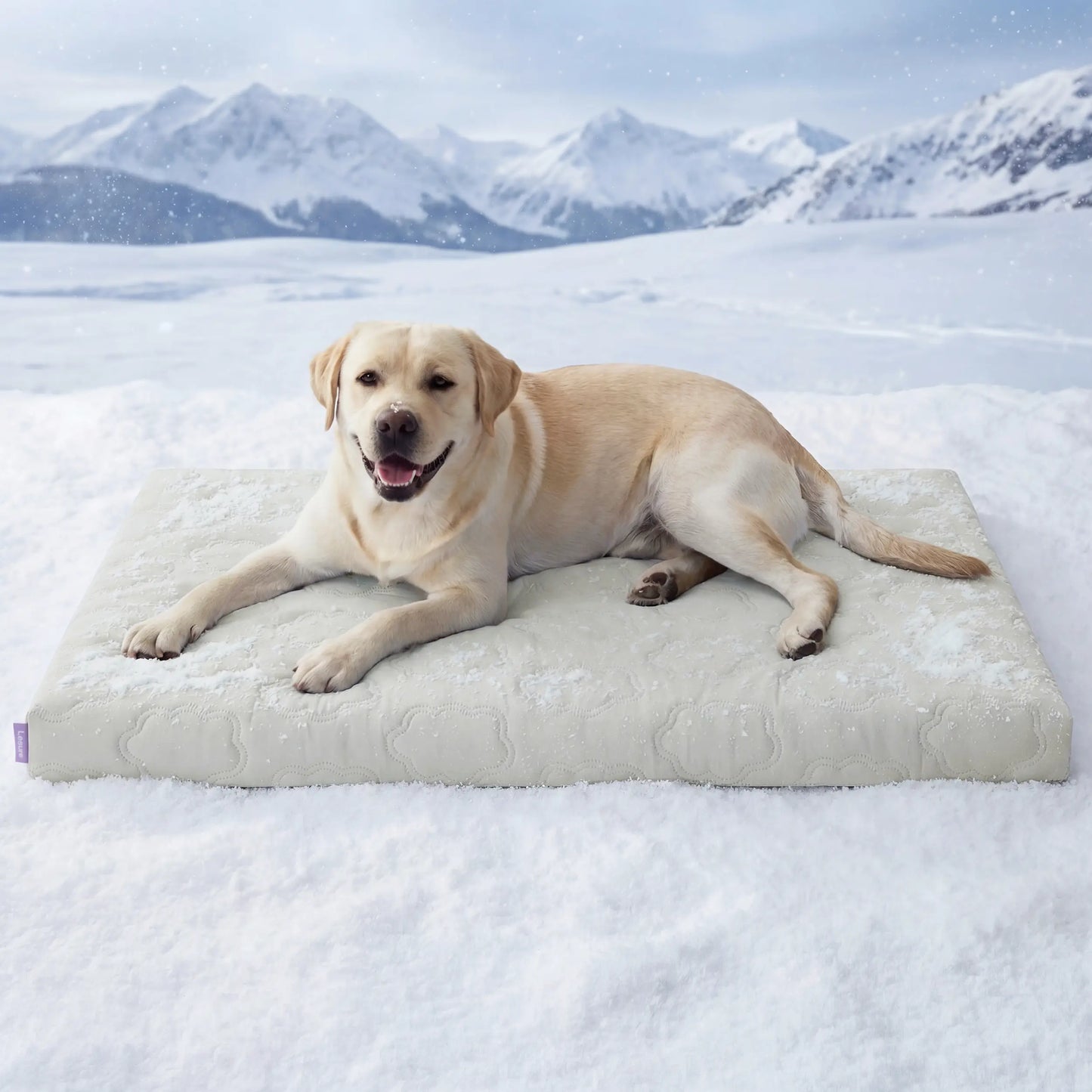 Lesure Orthopedic Dog Cooling Mat - Q-Max > 0.5 with Washable Cover and Non-Slip Egg Crate Foam for Extra Large Dogs