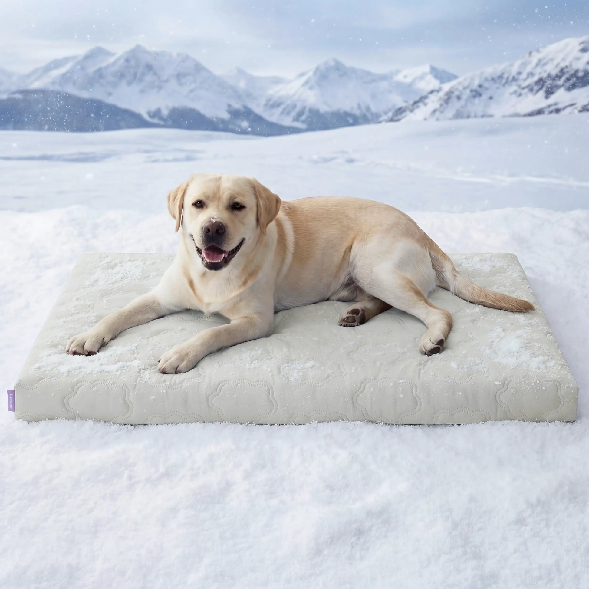 Lesure Orthopedic Dog Cooling Mat - Q-Max > 0.5 with Washable Cover and Non-Slip Egg Crate Foam for Extra Large Dogs