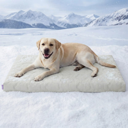 Lesure Orthopedic Dog Cooling Mat - Q-Max > 0.5 with Washable Cover and Non-Slip Egg Crate Foam for Extra Large Dogs