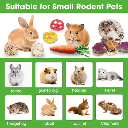 21-Piece Dental Chew Toy Set for Small Animals – Apple Wood Sticks and Timothy Hay Cakes for Optimal Dental Care – Suitable for Rabbits, Hamsters, Chinchillas, and Gerbils