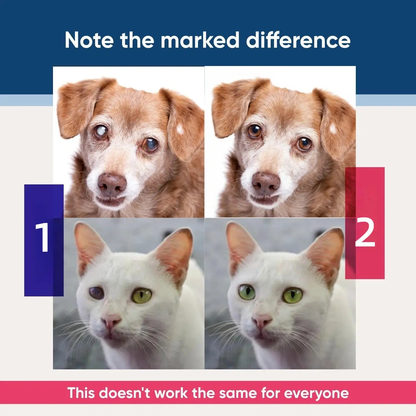 Urbanpluse Natural Pet Eye Drops for Dogs and Cats - 10ML Tear Stain Remover for Itchy, Dry, and Pink Eyes