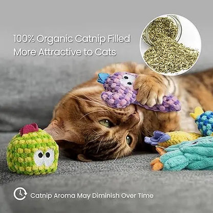Pawsible 5-Pack Colorful Cactus Cat Toy Set with 100% Premium Catnip Filling - Natural Stimulation and Soft Teething Toys for Kittens
