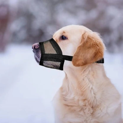 Adjustable Air Mesh Dog Muzzle for Various Breeds | Prevents Barking, Scavenging, Licking, and Chewing | Ideal for Biting Prevention