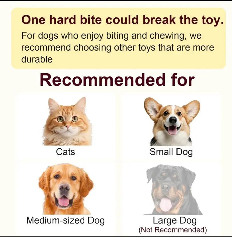 Interactive Cat and Dog Toy Ball with Bird Chirping Sound - USB Rechargeable, Anti-Depression Gift, Smart Motion Sensor, Chew-Resistant Design, Ultra-Quiet Operation, Long-Lasting Battery, Multi-Surface Compatibility