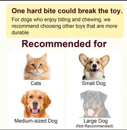 Interactive Cat and Dog Toy Ball with Bird Chirping Sound - USB Rechargeable, Anti-Depression Gift, Smart Motion Sensor, Chew-Resistant Design, Ultra-Quiet Operation, Long-Lasting Battery, Multi-Surface Compatibility