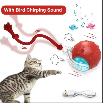 Interactive Cat and Dog Toy Ball with Bird Chirping Sound - USB Rechargeable, Anti-Depression Gift, Smart Motion Sensor, Chew-Resistant Design, Ultra-Quiet Operation, Long-Lasting Battery, Multi-Surface Compatibility