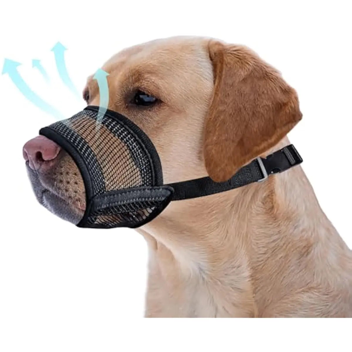 Adjustable Air Mesh Dog Muzzle for Various Breeds | Prevents Barking, Scavenging, Licking, and Chewing | Ideal for Biting Prevention