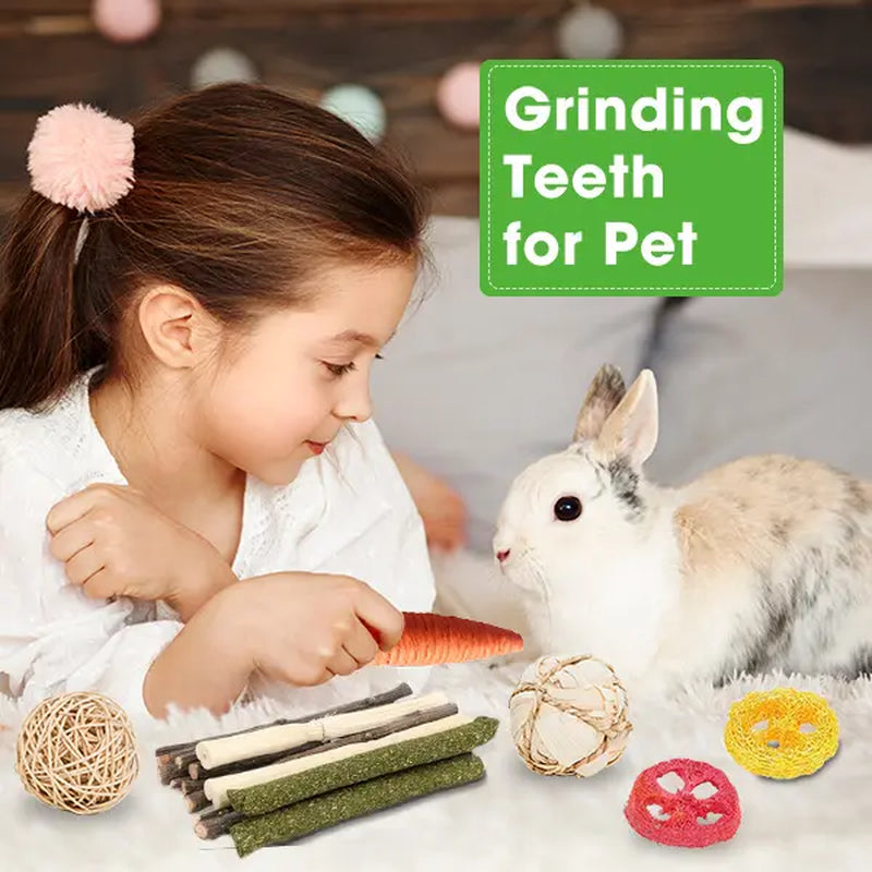21-Piece Dental Chew Toy Set for Small Animals – Apple Wood Sticks and Timothy Hay Cakes for Optimal Dental Care – Suitable for Rabbits, Hamsters, Chinchillas, and Gerbils