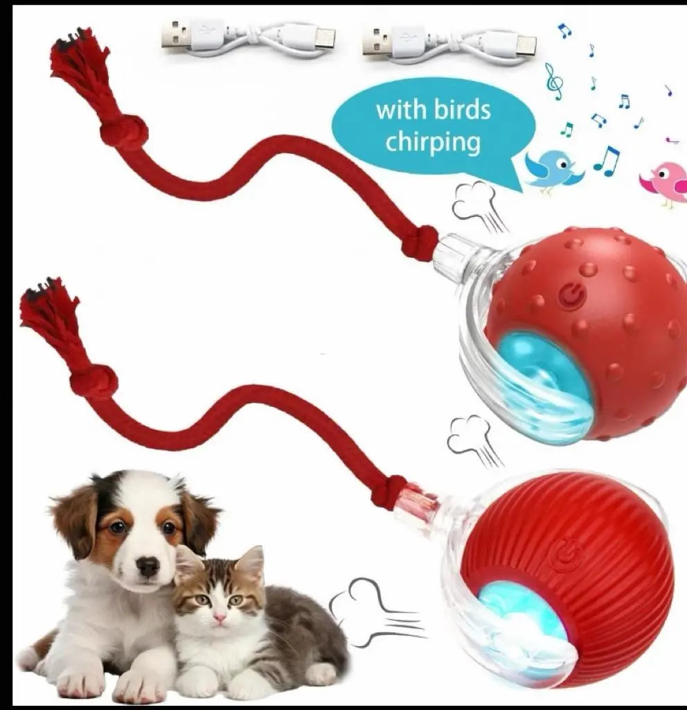 Interactive Cat and Dog Toy Ball with Bird Chirping Sound - USB Rechargeable, Anti-Depression Gift, Smart Motion Sensor, Chew-Resistant Design, Ultra-Quiet Operation, Long-Lasting Battery, Multi-Surface Compatibility