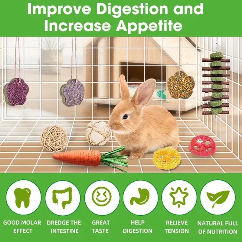 21-Piece Dental Chew Toy Set for Small Animals – Apple Wood Sticks and Timothy Hay Cakes for Optimal Dental Care – Suitable for Rabbits, Hamsters, Chinchillas, and Gerbils