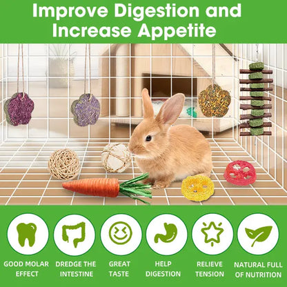 21-Piece Dental Chew Toy Set for Small Animals – Apple Wood Sticks and Timothy Hay Cakes for Optimal Dental Care – Suitable for Rabbits, Hamsters, Chinchillas, and Gerbils