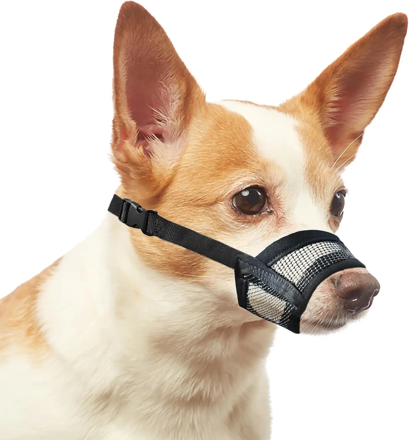 Adjustable Air Mesh Dog Muzzle for Various Breeds | Prevents Barking, Scavenging, Licking, and Chewing | Ideal for Biting Prevention